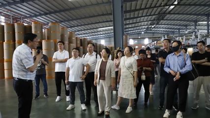 2025年廣西工業(yè)互聯網“百場路演”人工智能賦能林業(yè)產業(yè)專題活動走進港南區(qū)，引領家居定制智能化升級